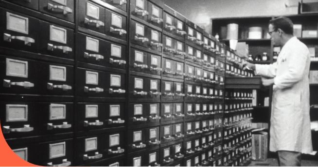 Scientist Looking Through Old Library Archive Index Cards